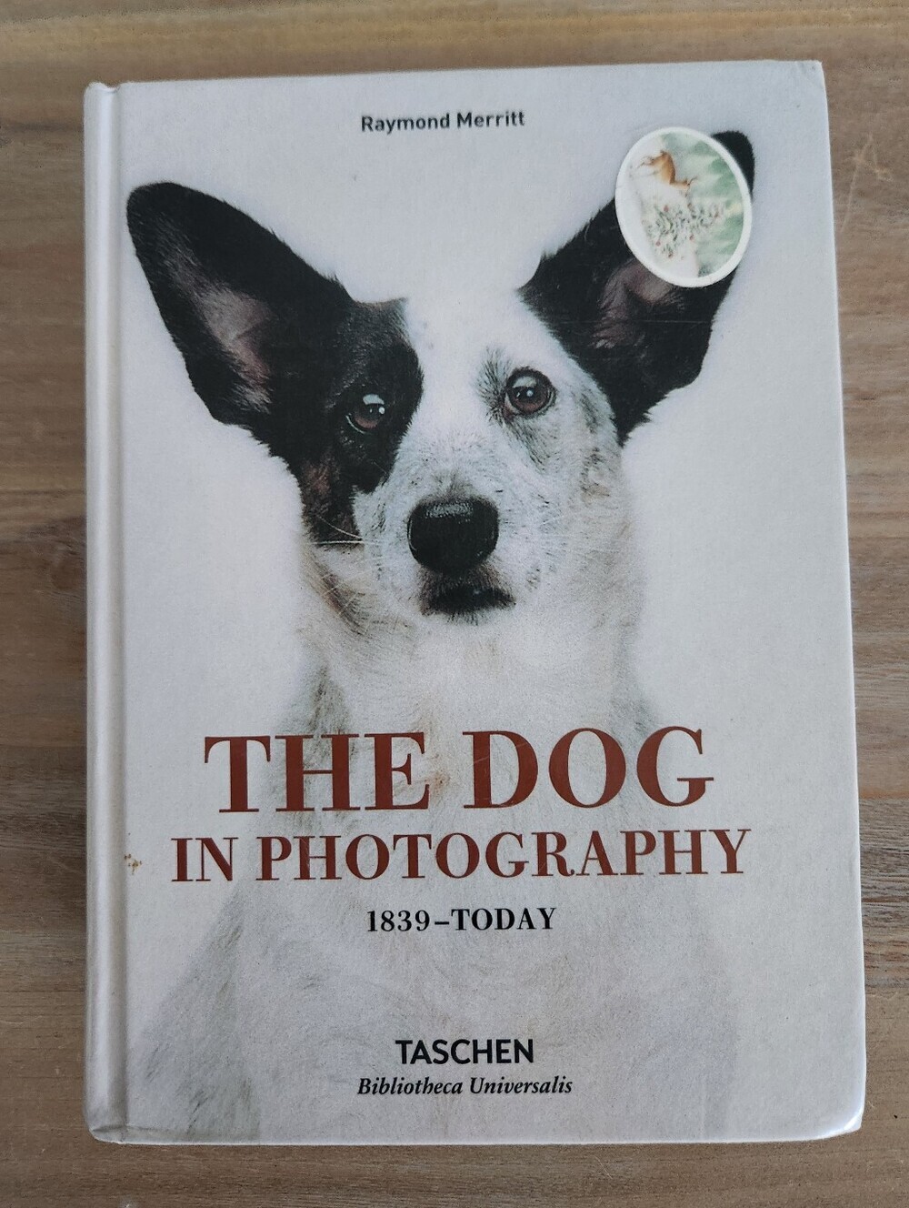 The Dog in Photography 1839–Today Taschen Hardcover Book Raymond Merritt